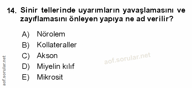 Soru 14