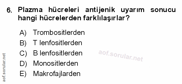 Soru 6
