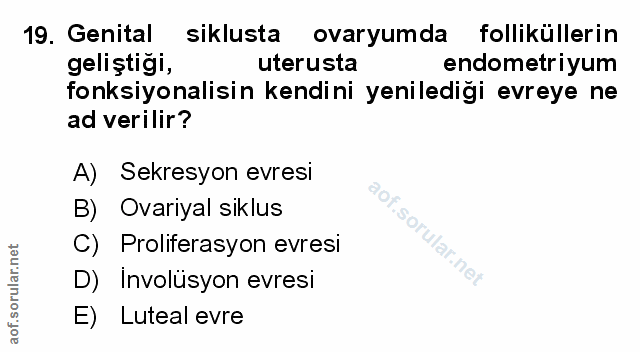 Soru 19
