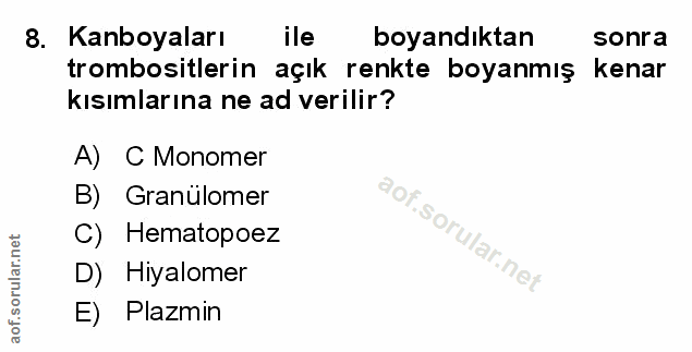 Soru 8