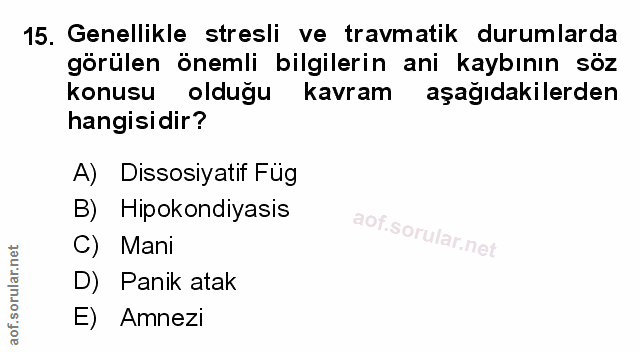 Soru 15
