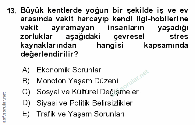 Soru 13