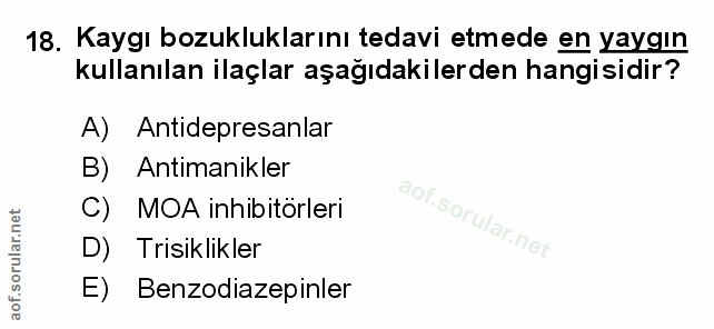 Soru 18