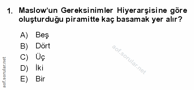 Soru 1