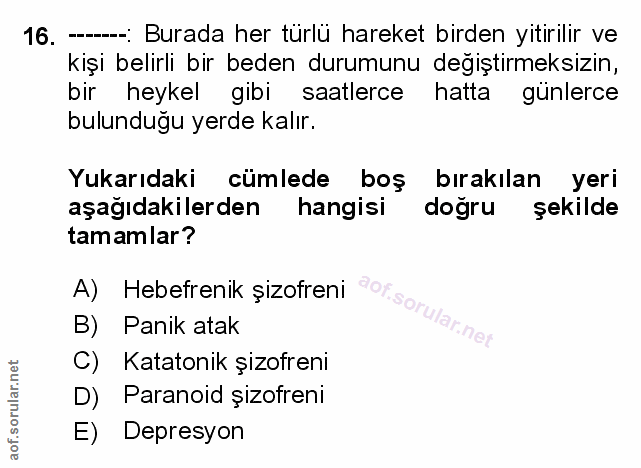 Soru 16
