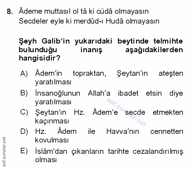 Soru 8