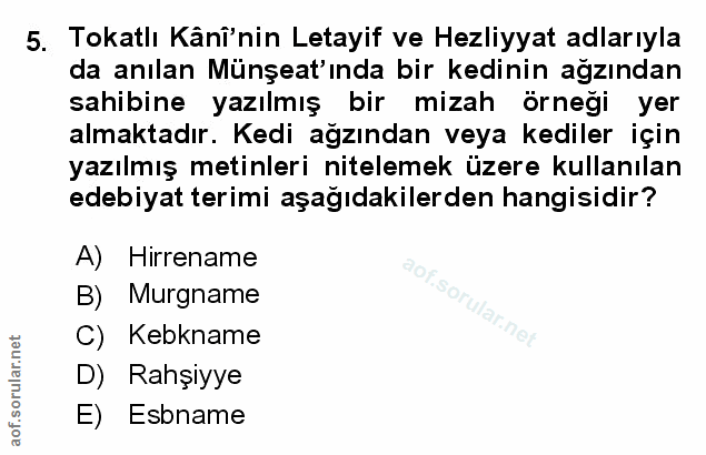 Soru 5