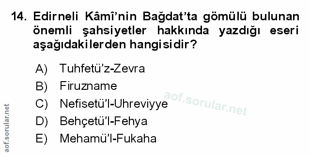 Soru 14