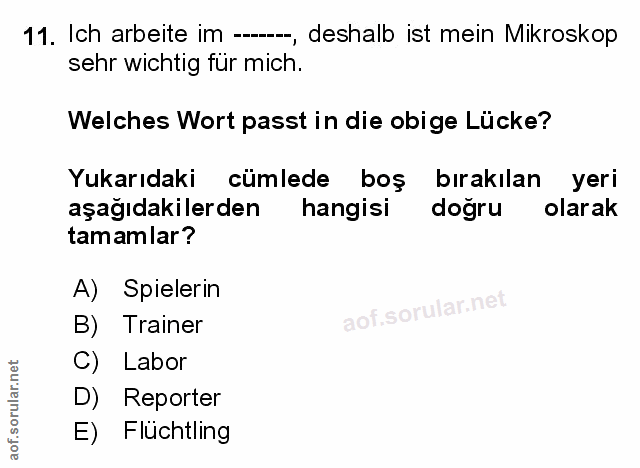Soru 11