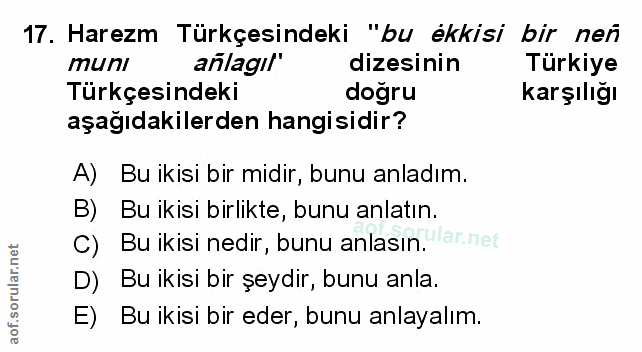Soru 17