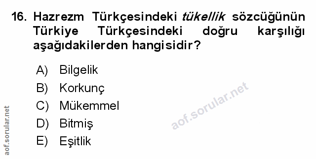 Soru 16