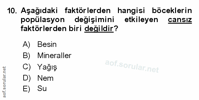 Soru 10