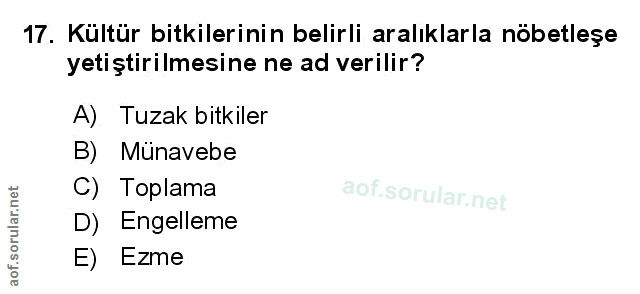 Soru 17