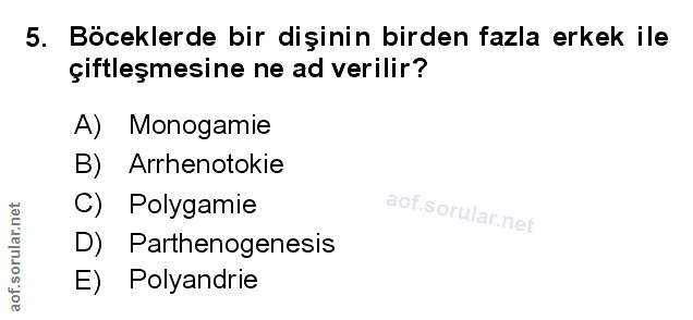 Soru 5