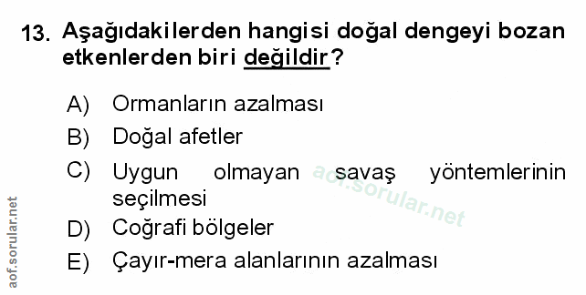 Soru 13