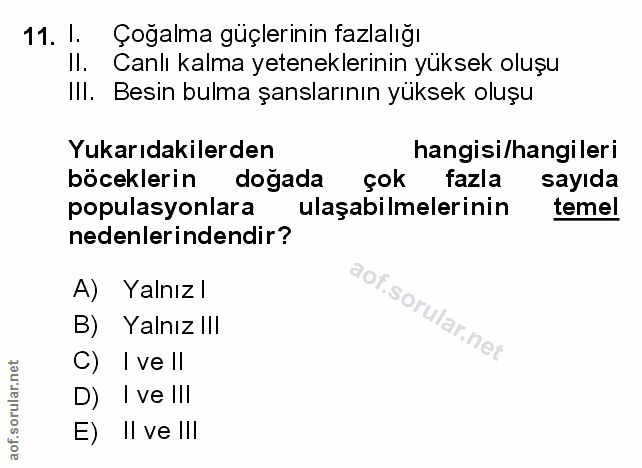 Soru 11