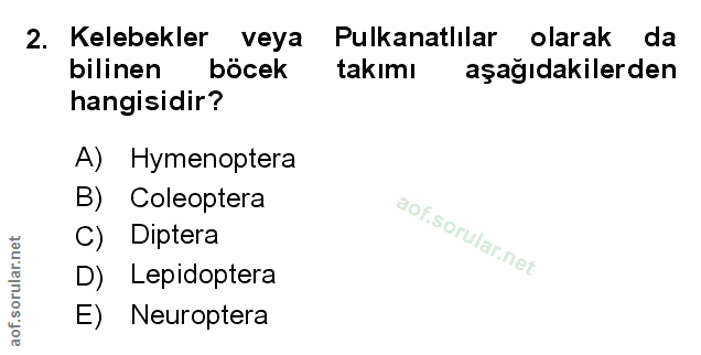 Soru 2