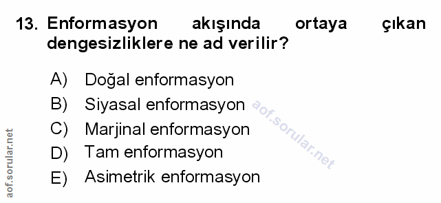 Soru 13