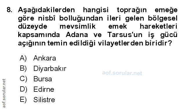 Soru 8