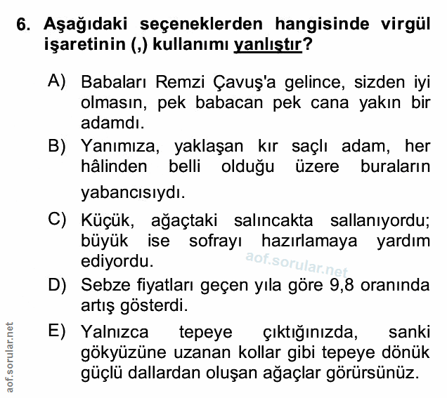 Soru 6