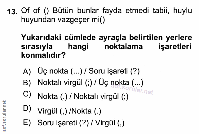 Soru 13