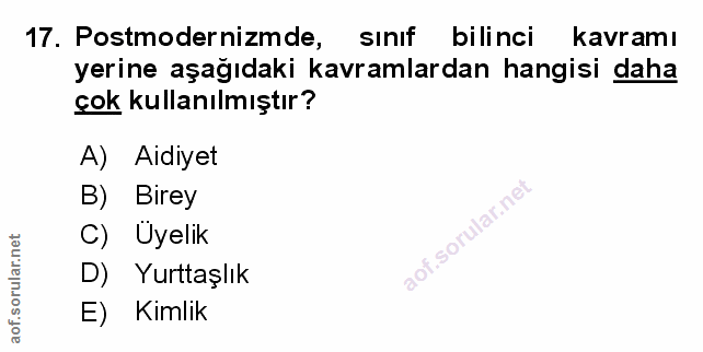 Soru 17