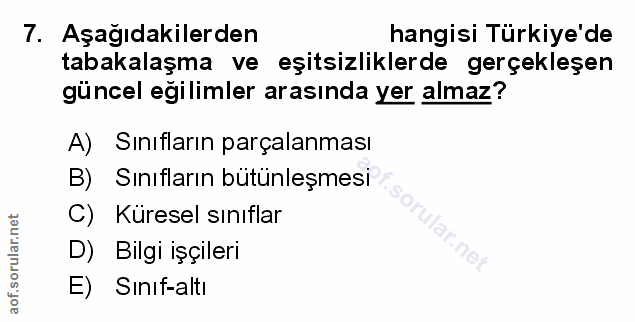 Soru 7