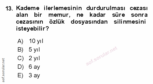 Soru 13
