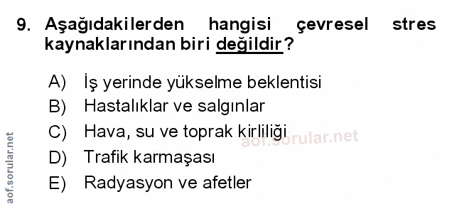 Soru 9