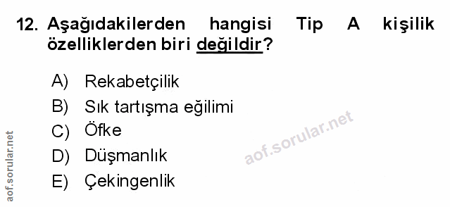 Soru 12