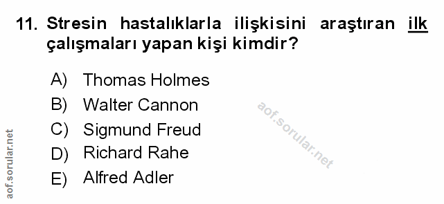 Soru 11
