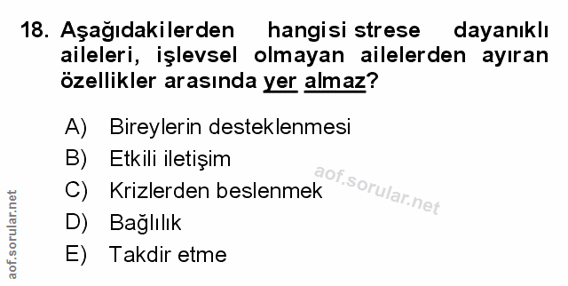 Soru 18