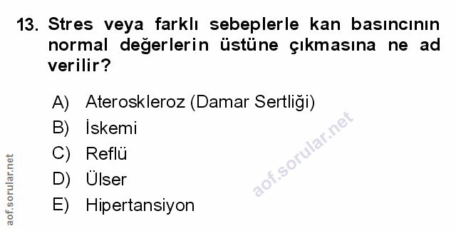 Soru 13