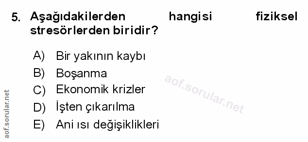 Soru 5