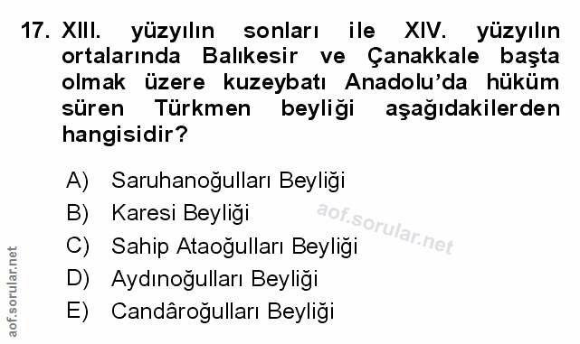 Soru 17