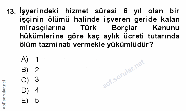 Soru 13