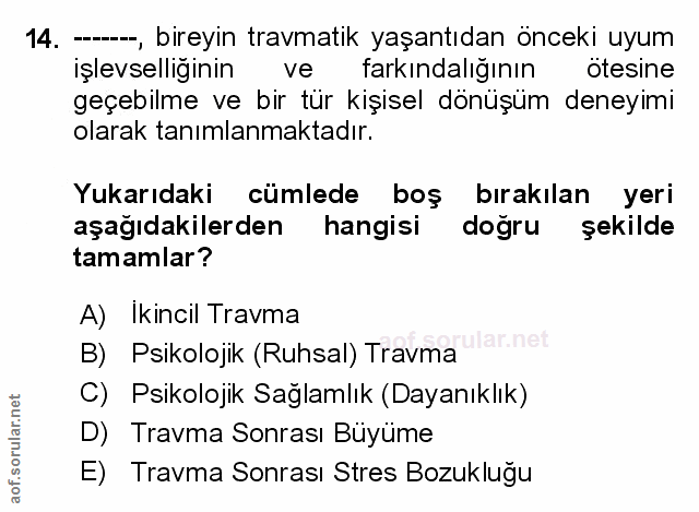 Soru 14