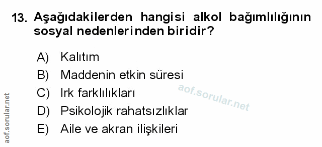 Soru 13