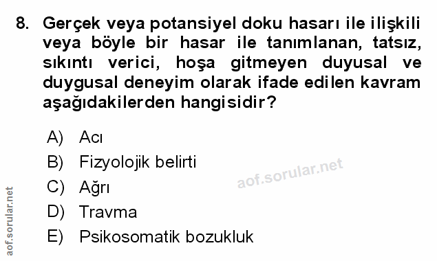 Soru 8