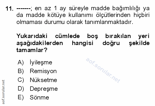 Soru 11