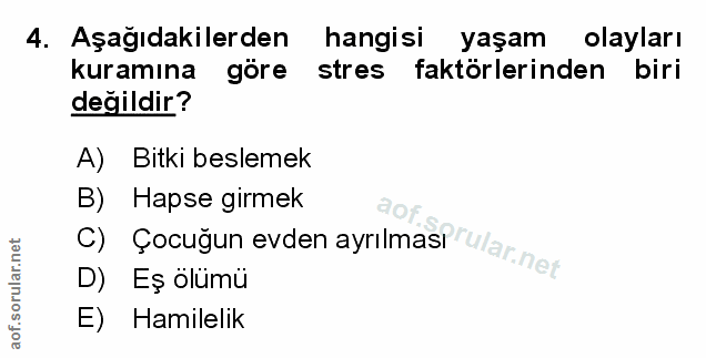 Soru 4