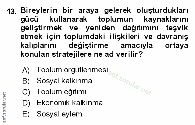 Soru 13
