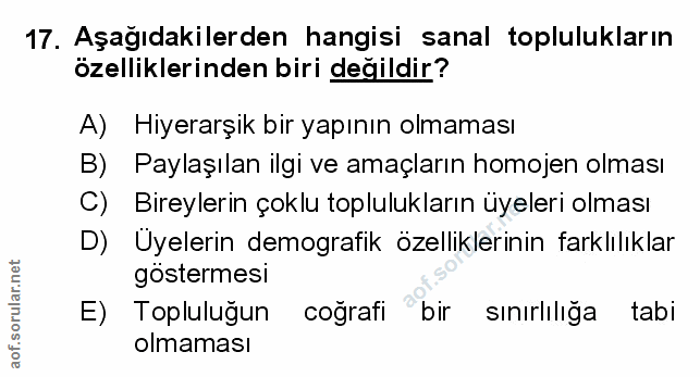 Soru 17