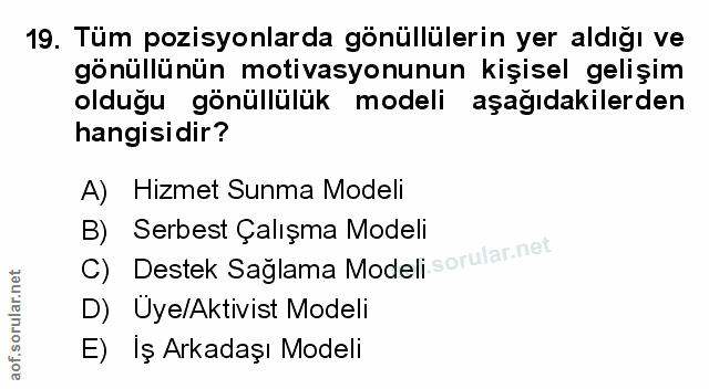 Soru 19