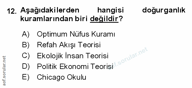 Soru 12