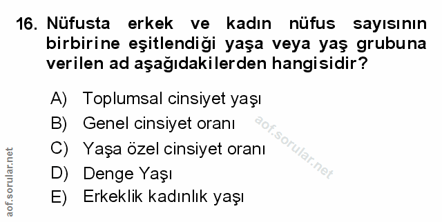 Soru 16