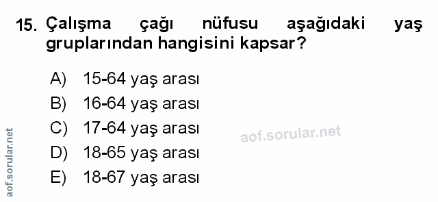 Soru 15
