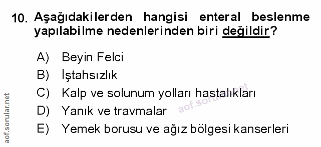 Soru 10
