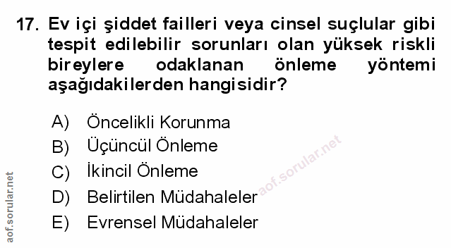 Soru 17