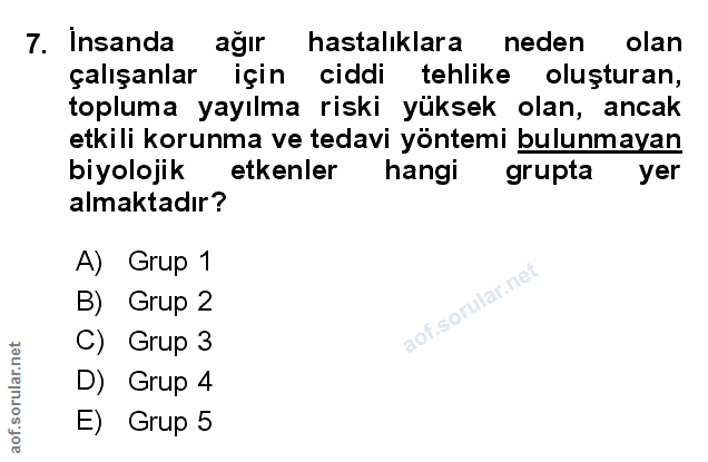 Soru 7